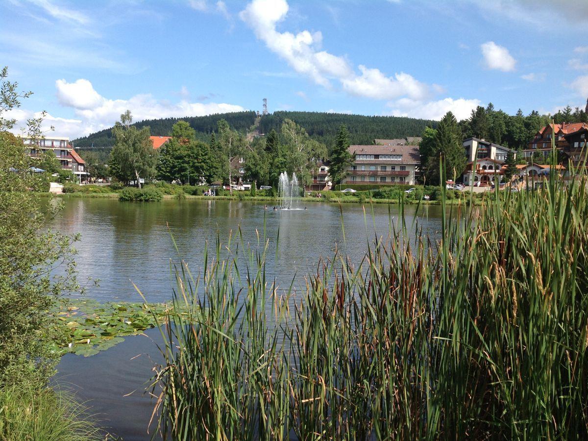 Bocksbergblick Fewo Auszeit Goslar Dış mekan fotoğraf
